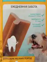 Лакомство для собак мелких пород Biff Dental Care, жевательный снек для чистки зубов, 45 г