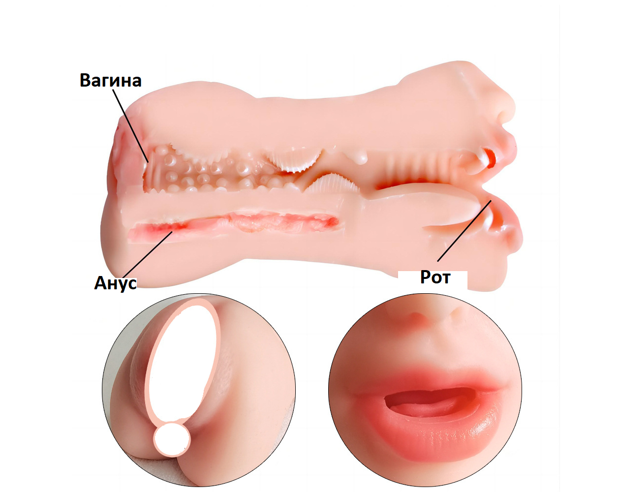 Мастурбатор мужской реалистичный вагина анус рот, анал, секс кукла купить  по цене 996.7 ₽ в интернет-магазине KazanExpress