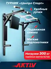 Турник-брусья 3 в 1 ЦЕНТРЛ СПОРТ черно белый с черными ручками разборный Aktiv