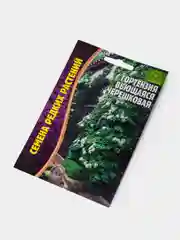 Семена Гортензия Вьющаяся Черешковая
