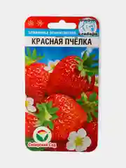 Семена Земляника Ремонтантная Красная Пчелка