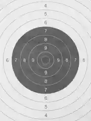 Мишень Remington №4 спортивная, черная, 50 х 50 см