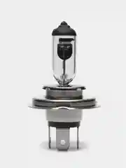 Лампа автомобильная галоген H4, H7, H19 Standart 12V Xenite