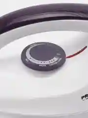 Фиолетовый утюг сухой глажки RAF 1261