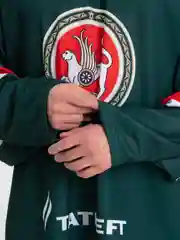 Джерси сувенирное Ак Барс (Радулов), зеленый