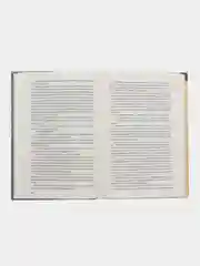 Книга "Двенадцать стульев"