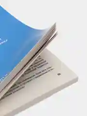 Новый административный регламент ГИБДД, Проспект