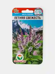 Семена Мята Горная Летняя Свежесть