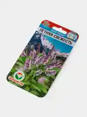 Семена Мята Горная Летняя Свежесть