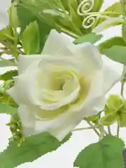 Белый цветы искусственные "Средние розы"