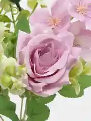 Сиреневый цветы искусственные "Средние розы"