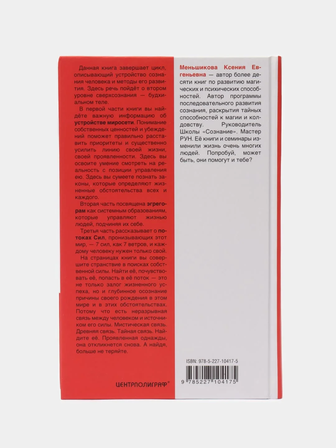 Меньшикова К.Е. Эгрегоры и система управления реальностью