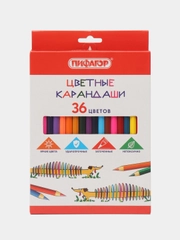 Карандаши цветные Пифагор "Веселая такса", 36 цветов, классические, заточенные