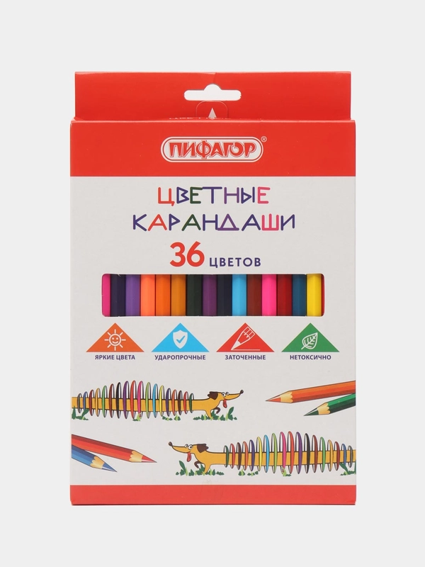 Карандаши цветные Пифагор "Веселая такса", 36 цветов, классические, заточенные