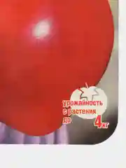 Семена Томат "Лентяйка", раннеспелый