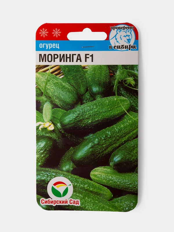 Семена Огурец Моринга F1