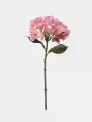 Розовый цветы искусственные "Гортензия"