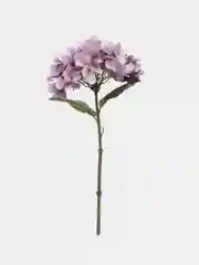 Розовый цветы искусственные "Гортензия"