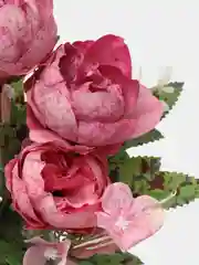 Бордовый цветы искусственные "Розы пионовидные"