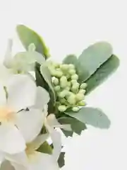 Белый цветы искусственные "Камелии"