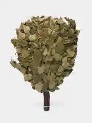 Веник для бани из березы