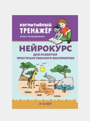 Нейрокурс для развития пространственного восприятия: 5-6 лет, Праведникова Ирина