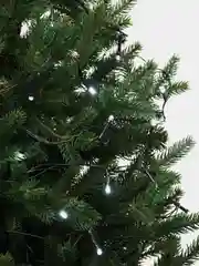 Гирлянды, белый свет, 3,5 м