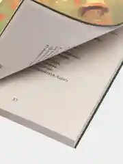 Сборник стихотворений "Стрекоза", Русских О.П