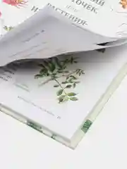 Книга "Аленький цветочек или растения-изобретатели"