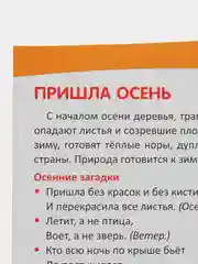 Ширмочки информационные. Времена года: Осень, Цветкова Татьяна Владиславовна
