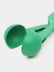 Зеленый снежколеп