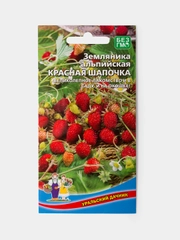 Семена Земляника Альпийская "Красная Шапочка"