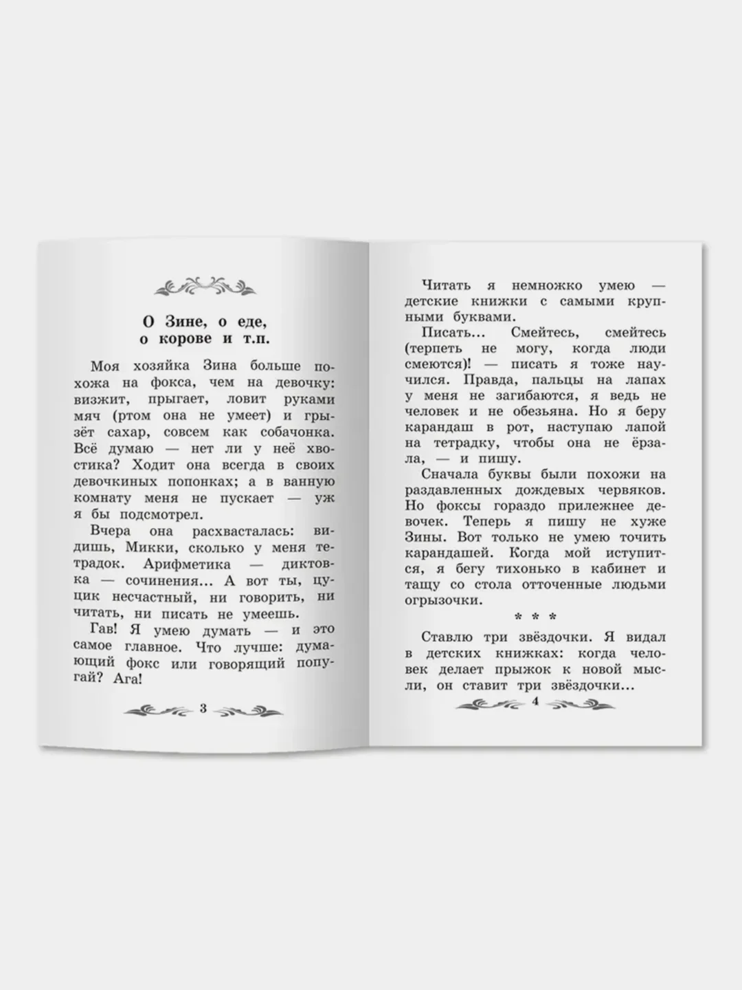 Дневник фокса Микки, Черный Саша