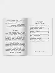 Дневник фокса Микки, Черный Саша