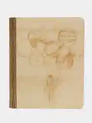 Тетрадь на кольцах А5 "Космос", бежевый, деревянная обложка, 195 х 235 мм, 50 листов