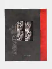 Алый фотоальбом на 200 фото 10х15 "Животные" Image Art