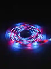 Светодиодная лента, RGB, с пультом, 5 м