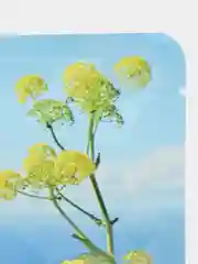 Голубой маска для лица тканевая Beotua beotuaorange
