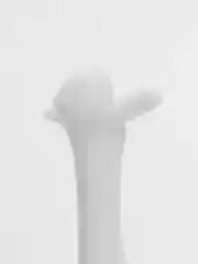 Белый кулинарная ложка