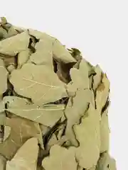 Веник для бани из дуба