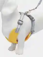 Голубой шлейка для собак с поводком, 1,5 м