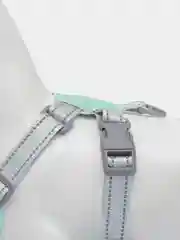 Мятный шлейка для собак с поводком, 1,5 м
