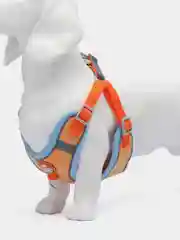 Оранжевый шлейка для собак