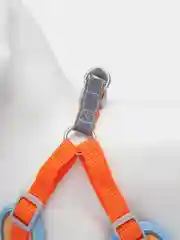 Оранжевый шлейка для собак