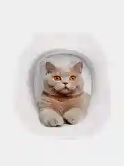 Серый наклейки интерьерные на унитаз