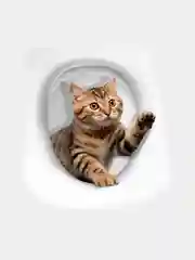Коричневый наклейки интерьерные на унитаз