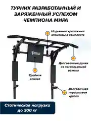 Турник 3 в 1 Absolute Champion Центрл Спорт черный усиленный для спорта и фитнеса дома