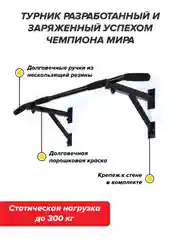 Турник настенный Absolute Champion Aktiv, черный, разборный, Aktiv наддверный