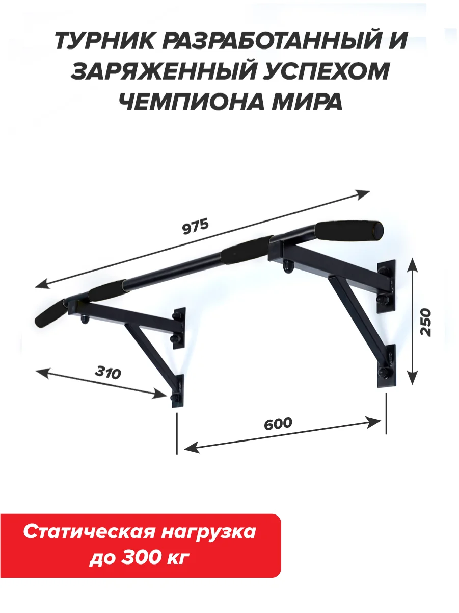 Турник настенный Absolute Champion Aktiv, черный, разборный, Aktiv наддверный
