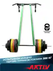 Турник Absolute Champion "Треххватный", черный, разборный Aktiv, 300 кг, наддверный, для дома